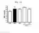Fig. 13 - Compositions and functional foods for treating and preventing obesity using polygonum cuspidatum butanol fraction and ethyl acetate fraction