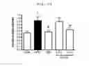 Fig. 18 - Compositions and functional foods for treating and preventing obesity using polygonum cuspidatum butanol fraction and ethyl acetate fraction