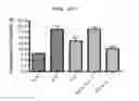 Fig. 25 - Compositions and functional foods for treating and preventing obesity using polygonum cuspidatum butanol fraction and ethyl acetate fraction
