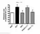Fig. 27 - Compositions and functional foods for treating and preventing obesity using polygonum cuspidatum butanol fraction and ethyl acetate fraction