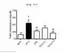 Fig. 28 - Compositions and functional foods for treating and preventing obesity using polygonum cuspidatum butanol fraction and ethyl acetate fraction