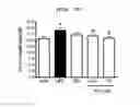 Fig. 33 - Compositions and functional foods for treating and preventing obesity using polygonum cuspidatum butanol fraction and ethyl acetate fraction