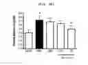 Fig. 41 - Compositions and functional foods for treating and preventing obesity using polygonum cuspidatum butanol fraction and ethyl acetate fraction