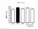 Fig. 42 - Compositions and functional foods for treating and preventing obesity using polygonum cuspidatum butanol fraction and ethyl acetate fraction