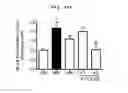 Fig. 47 - Compositions and functional foods for treating and preventing obesity using polygonum cuspidatum butanol fraction and ethyl acetate fraction