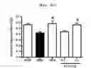 Fig. 48 - Compositions and functional foods for treating and preventing obesity using polygonum cuspidatum butanol fraction and ethyl acetate fraction