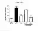 Fig. 49 - Compositions and functional foods for treating and preventing obesity using polygonum cuspidatum butanol fraction and ethyl acetate fraction