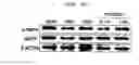 Fig. 50 - Compositions and functional foods for treating and preventing obesity using polygonum cuspidatum butanol fraction and ethyl acetate fraction