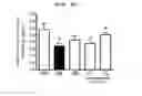 Fig. 51 - Compositions and functional foods for treating and preventing obesity using polygonum cuspidatum butanol fraction and ethyl acetate fraction