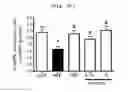 Fig. 52 - Compositions and functional foods for treating and preventing obesity using polygonum cuspidatum butanol fraction and ethyl acetate fraction