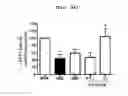 Fig. 55 - Compositions and functional foods for treating and preventing obesity using polygonum cuspidatum butanol fraction and ethyl acetate fraction