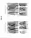 Fig. 26 - Anti-cancer composition comprising aquatic microbial extract