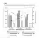 Fig. 06 - AGGLOMERATES AND PREPARATION THEREOF