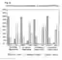 Fig. 08 - AGGLOMERATES AND PREPARATION THEREOF