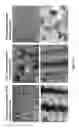 Fig. 07 - Methods for the growth of three-dimensional nanorod networks