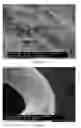 Fig. 03 - MECHANICALLY STABLE COATING