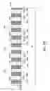 Fig. 19 - Pattern formation employing self-assembled material