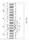 Fig. 66 - Pattern formation employing self-assembled material