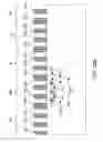 Fig. 68 - Pattern formation employing self-assembled material