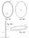 Fig. 10 - Plate attachment system