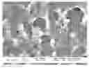 Fig. 01 - MODIFIED CARBON NANOTUBES, METHODS FOR PRODUCTION THEREOF AND PRODUCTS OBTAINED THEREFROM