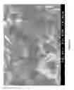Fig. 05 - MODIFIED CARBON NANOTUBES, METHODS FOR PRODUCTION THEREOF AND PRODUCTS OBTAINED THEREFROM
