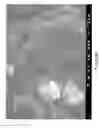 Fig. 07 - MODIFIED CARBON NANOTUBES, METHODS FOR PRODUCTION THEREOF AND PRODUCTS OBTAINED THEREFROM