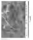 Fig. 08 - MODIFIED CARBON NANOTUBES, METHODS FOR PRODUCTION THEREOF AND PRODUCTS OBTAINED THEREFROM