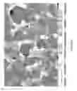 Fig. 12 - MODIFIED CARBON NANOTUBES, METHODS FOR PRODUCTION THEREOF AND PRODUCTS OBTAINED THEREFROM