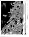 Fig. 13 - MODIFIED CARBON NANOTUBES, METHODS FOR PRODUCTION THEREOF AND PRODUCTS OBTAINED THEREFROM