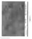 Fig. 14 - MODIFIED CARBON NANOTUBES, METHODS FOR PRODUCTION THEREOF AND PRODUCTS OBTAINED THEREFROM