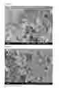 Fig. 04 - Glass powder and method of manufacturing the same
