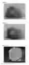 Fig. 02 - PROCESS FOR PRODUCTION OF CORE-SHELL PARTICLES, CORE-SHELL PARTICLES, AND PASTE COMPOSITION AND SHEET COMPOSITION WHICH CONTAIN SAME