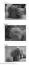Fig. 04 - PROCESS FOR PRODUCTION OF CORE-SHELL PARTICLES, CORE-SHELL PARTICLES, AND PASTE COMPOSITION AND SHEET COMPOSITION WHICH CONTAIN SAME