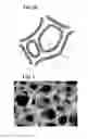 Fig. 04 - Method of producing aluminum structure and aluminum structure