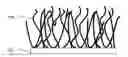 Fig. 01 - Electrode including nanostructures for rechargeable cells