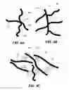 Fig. 07 - Electrode including nanostructures for rechargeable cells