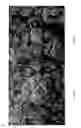 Fig. 03 - High density cathode materials for secondary batteries