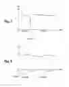 Fig. 05 - Method and device for increasing the service life of a proton exchange membrane fuel cell