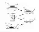 Fig. 01 - Oriented amorphous carbon film and process for forming the same