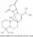 Fig. 06 - Rosin-based resin and toner containing same