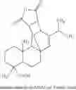Fig. 06 - Rosin-based resin and toner containing same