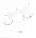 Fig. 10 - PROSTHETIC DENTAL DEVICE WITH BRIDGE HAVING CLASPING ARM