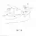 Fig. 19 - PROSTHETIC DENTAL DEVICE WITH BRIDGE HAVING CLASPING ARM