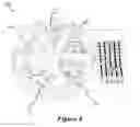 Fig. 06 - Dishware with Nutrition Guidance and Portion Tabulation