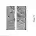 Fig. 21 - DECELLULARIZATION AND RECELLULARIZATION OF ORGANS AND TISSUES