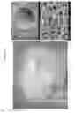 Fig. 23 - DECELLULARIZATION AND RECELLULARIZATION OF ORGANS AND TISSUES