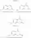 Fig. 14 - Compounds and methods for detection of enzymes that remove formyl, succinyl, methyl succinyl or myristoyl groups from ε-amino lysine moieties