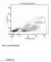Fig. 03 - TISSUE ANALYSIS