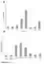 Fig. 09 - TISSUE ANALYSIS